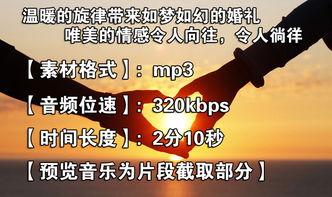 清洗背景音乐,探寻纯净音符背后的故事